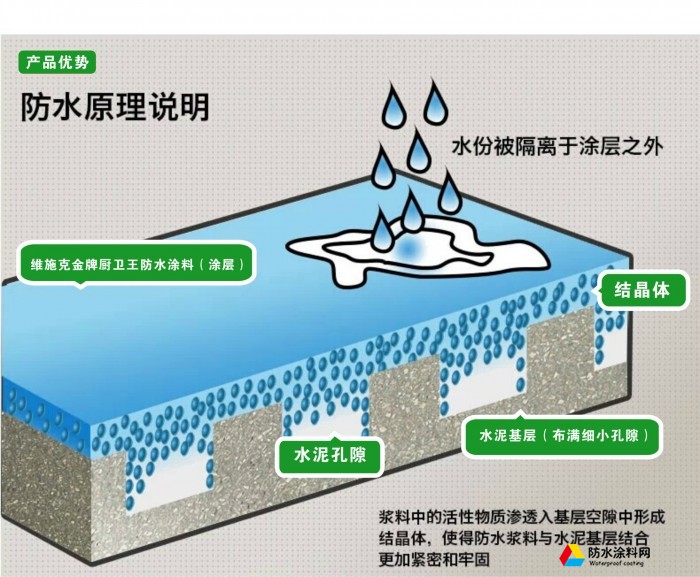 維施克黑豹防水涂料 廚房衛(wèi)生間防水陽臺內(nèi)外墻面防漏水漿料